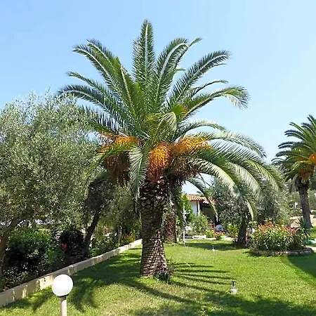 Hotel Olympic Bibis 3*